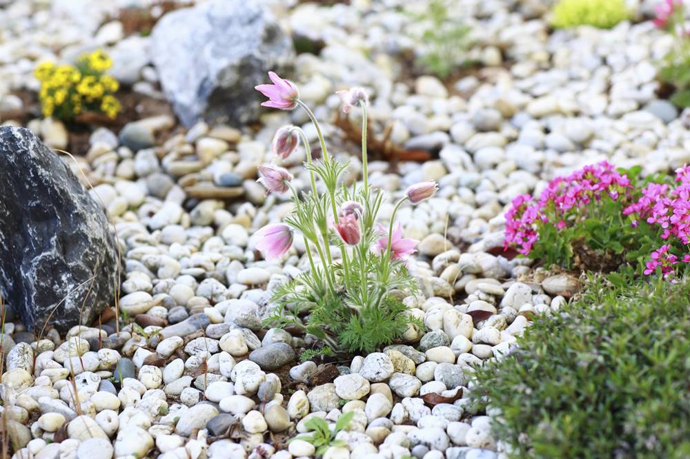 SAWI Gartengestaltung - Ihr Gartengestalter in Wels 