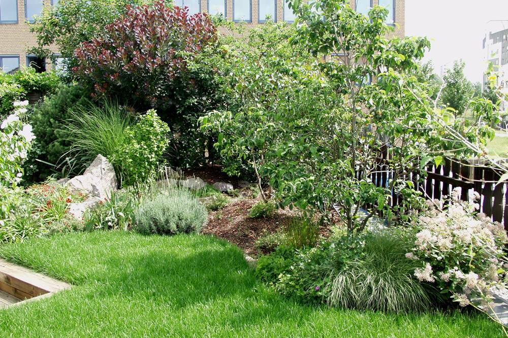 SAWI Gartengestaltung - Ihr Gartengestalter in Wels 